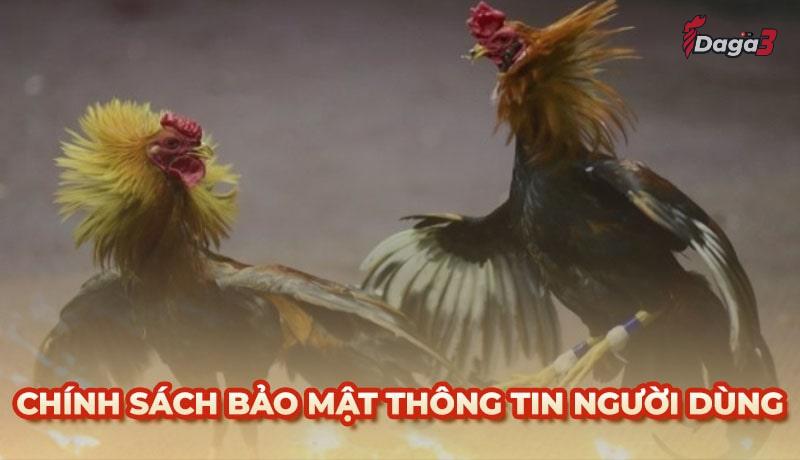 Chính sách bảo mật thông tin người dùng tại bestbroker.top
