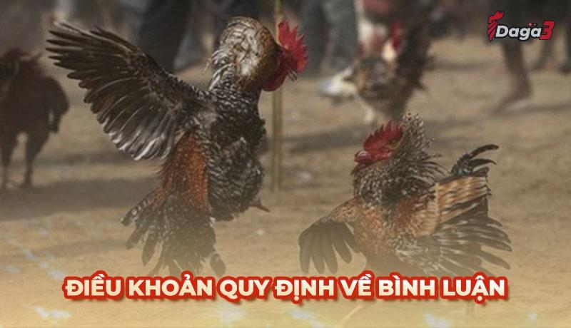 Người dùng cần tuân thủ một số điều khoản khi bình luận trên bestbroker.top