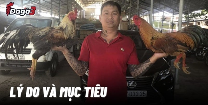 Mít Trà Cú sáng lập trang đá gà trực tiếp bestbroker.top